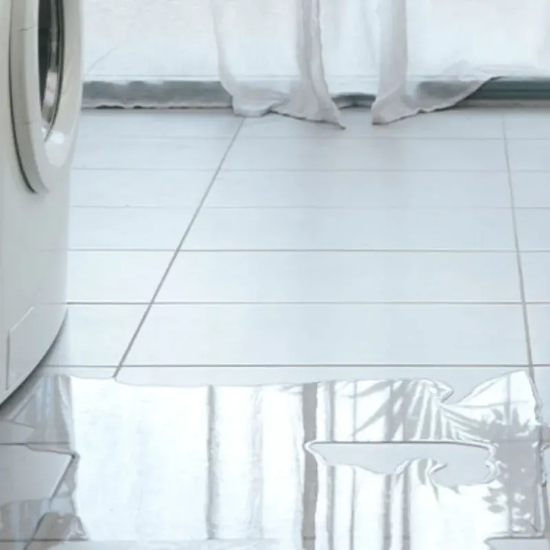 Appliance Leak Cleanup in Hardin County, IA