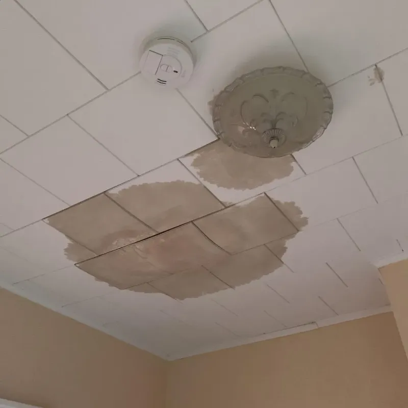 Ceiling Water Damage Repair in Hardin County, IA
