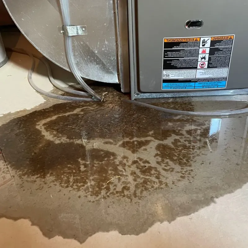 Pipe Burst and Leak Restoration in Hardin County, IA