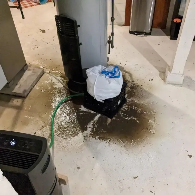 Sewage Backup Cleanup Service in Hardin County, IA